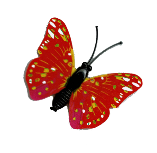 Mariage Laura & Mika